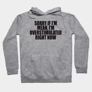 Sorry If I’m Mean, I’m Overstimulated Right Now Shirt, Y2k Aesthitic Shirtr, Self Care, Self Love Shirt, Mental Health Gifts Hoodie